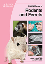 image of Rodents: soft tissue surgery