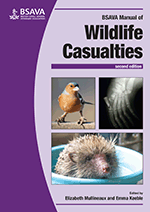 image of Investigating wildlife crime