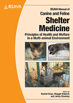 image of Respiratory disease in the cat in the shelter environment