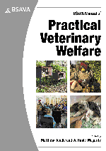 image of Optimizing animal welfare in clinical practice