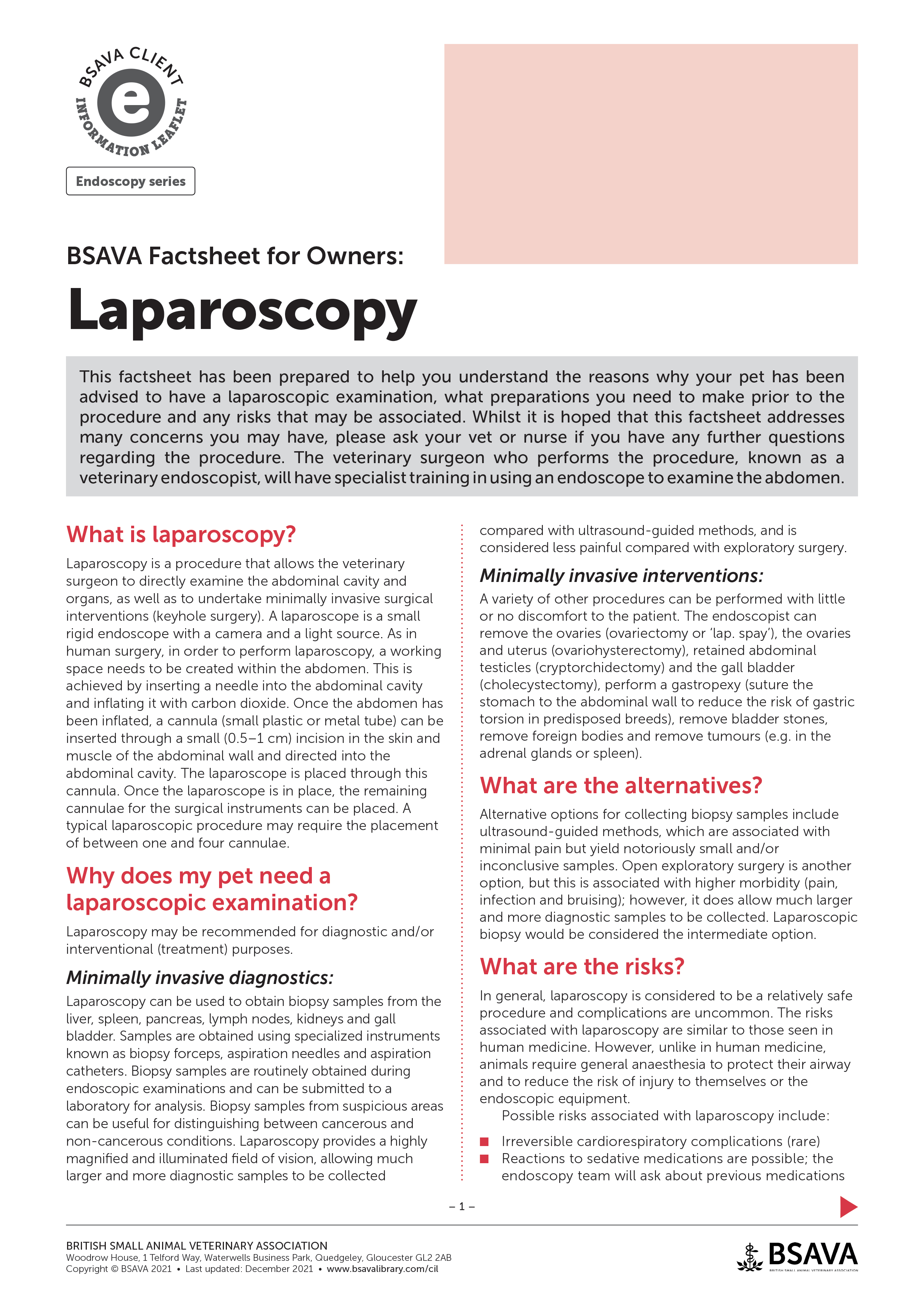 image of Laparoscopy