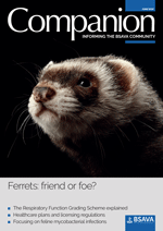 image of Ferrets: friend or foe?