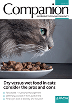 image of BSAVA News