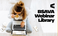 BSAVA webinar lib image